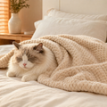 Koharu Heavy Plush Blanket