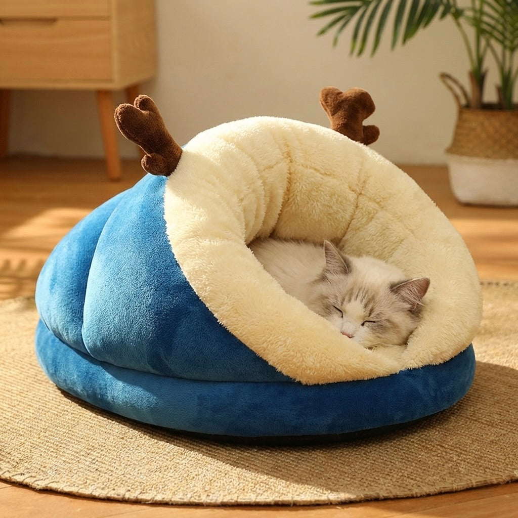 Koharu Cozy Cave