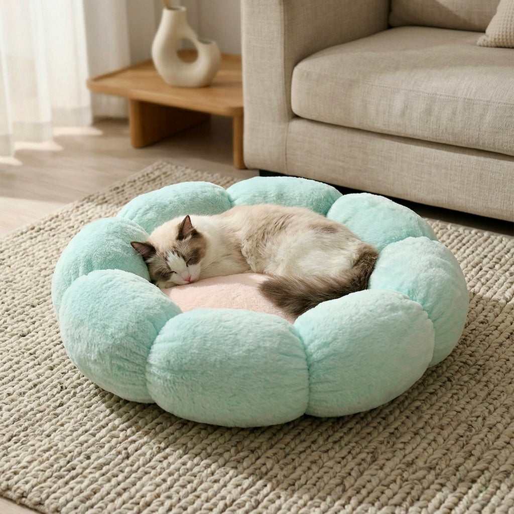 Nozomi Spacious Bed