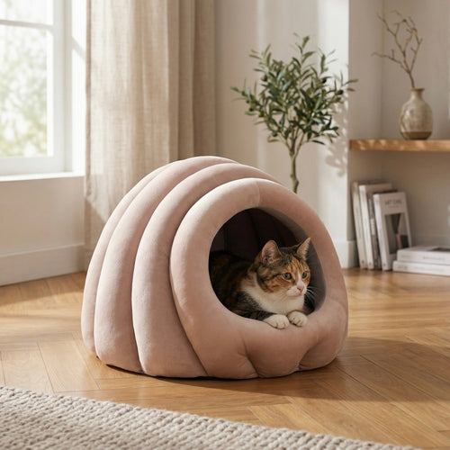 Koharu Shell Cave